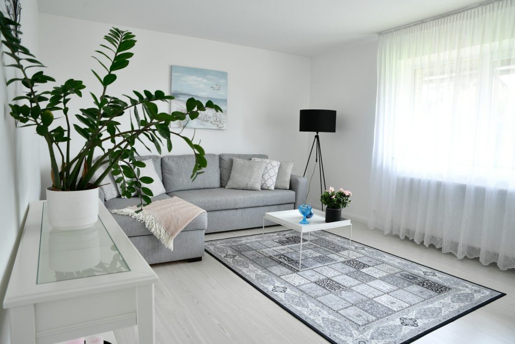 Modern living room with gray sofa and large plant.