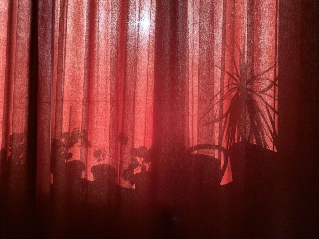 a red curtain with a potted plant behind it