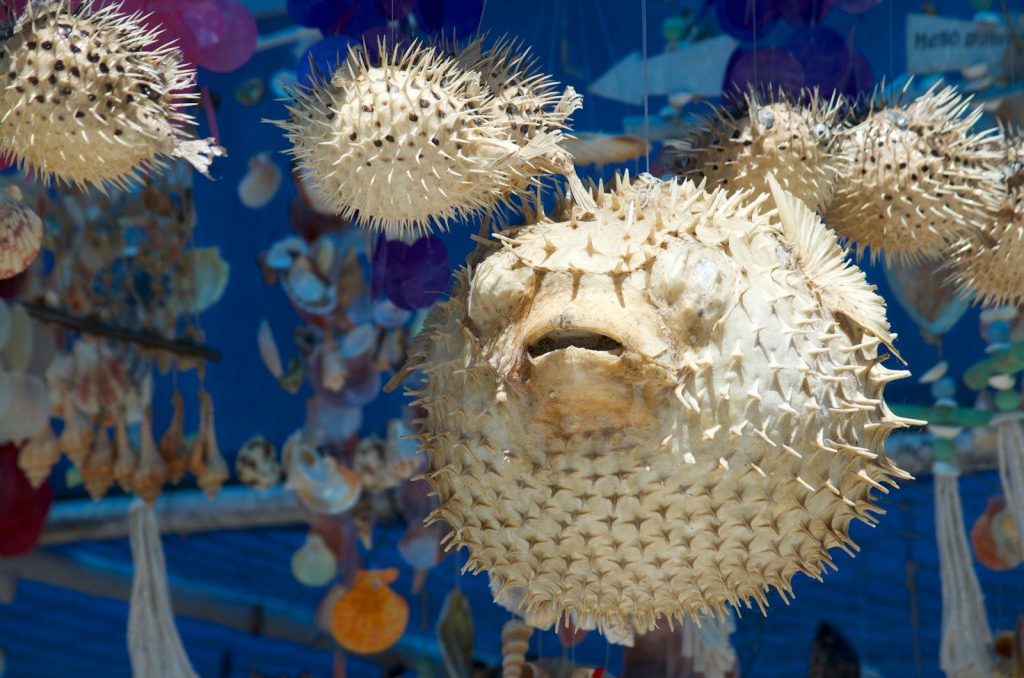 A bunch of strange looking objects hanging from a ceiling