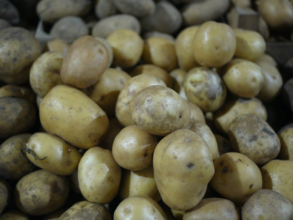A pile of fresh, earthy potatoes.