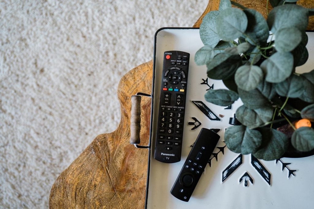 Top-view of TV remote controls and a houseplant on a designer wooden table.