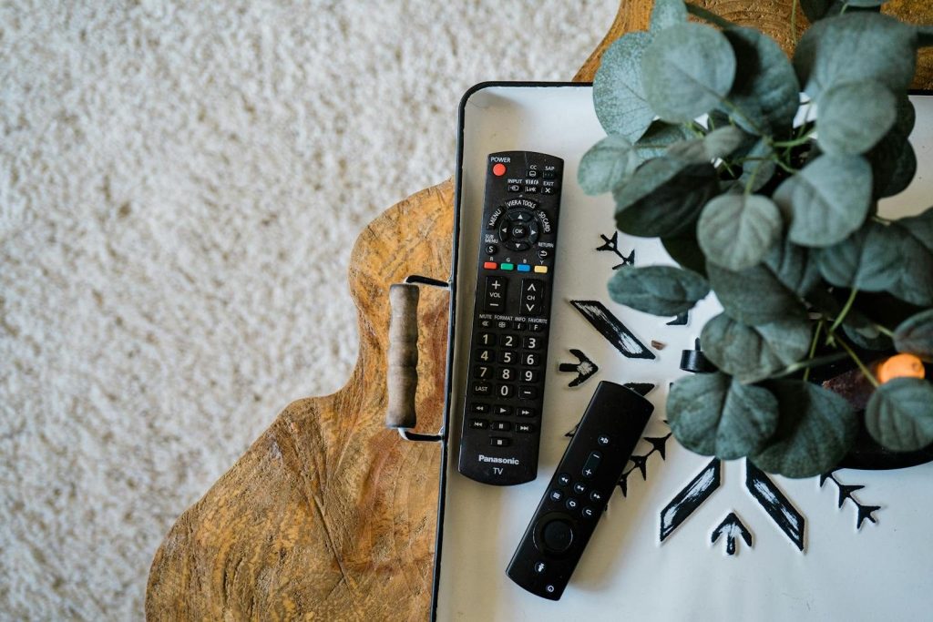 Top-view of TV remote controls and a houseplant on a designer wooden table.