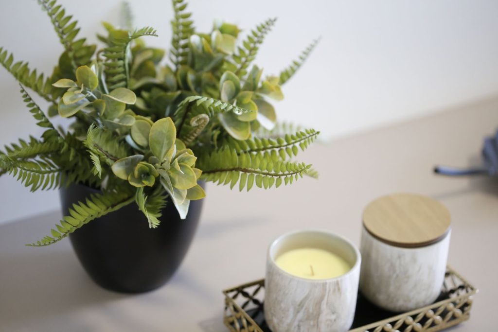 Simple and elegant home decor featuring a potted plant and candle on a dresser.