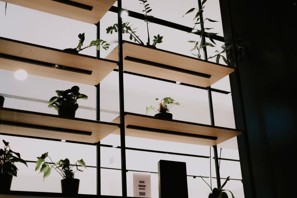 A stylish indoor plant display with potted plants on wooden shelves in a modern interior.