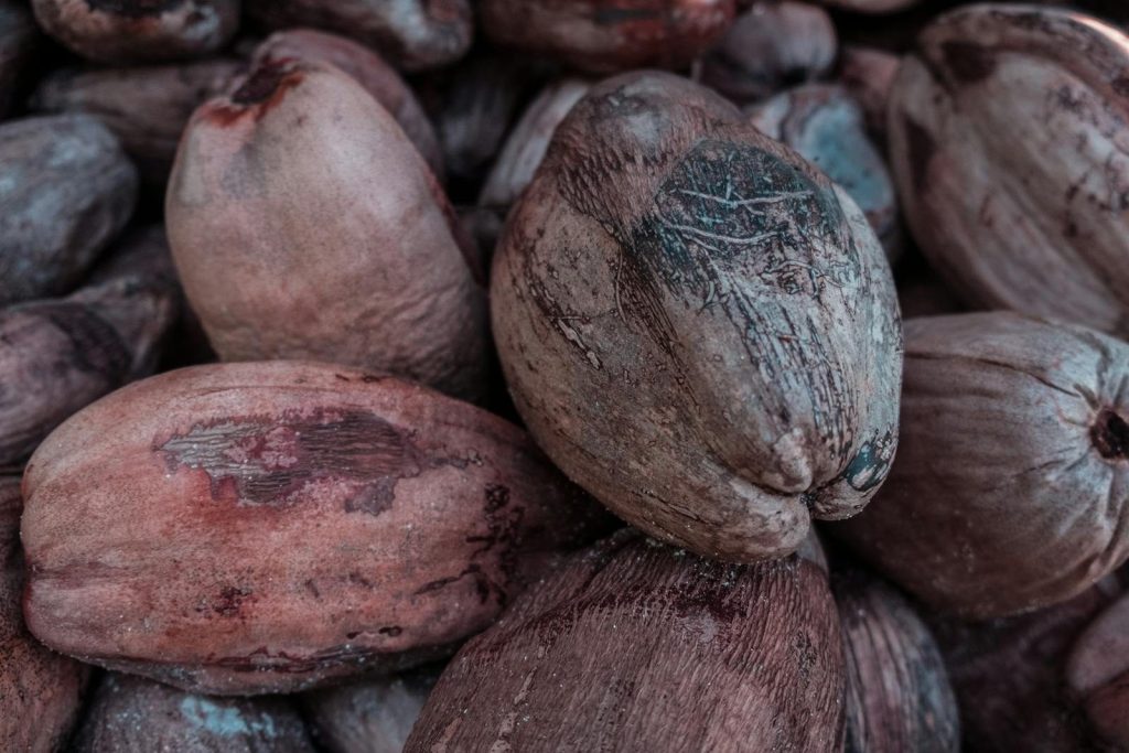 Detailed close-up of multiple brown coconuts piled together, showcasing their texture.