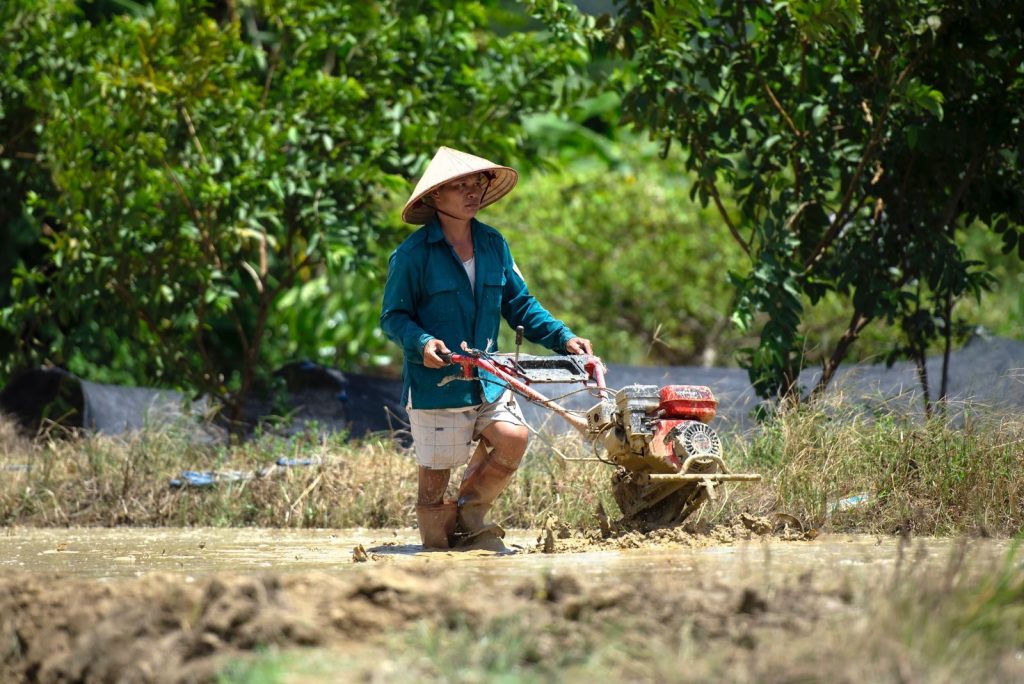 An Asian farmer in a conical hat operates a hand tractor in a lush rice field.