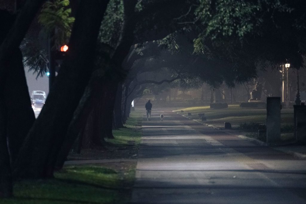 A person walks their dog on a dimly lit park road, surrounded by trees at night.