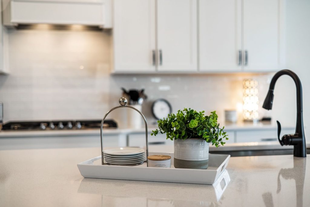 A sleek modern kitchen counter with decor accents, including a potted plant and a faucet.