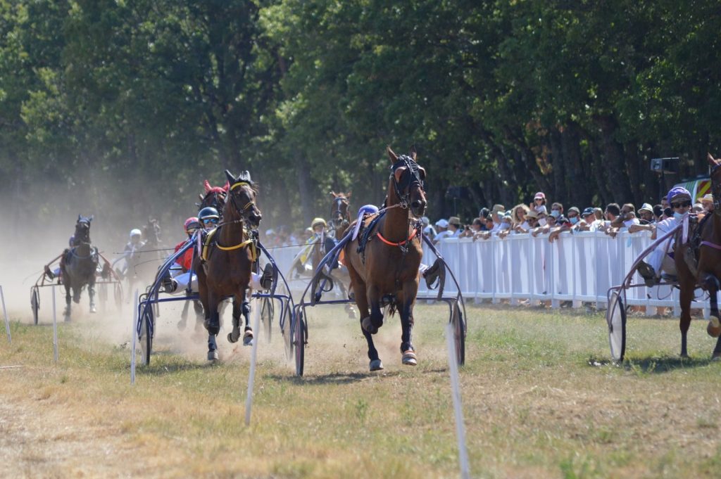 Dynamic horse cart racing event outdoors with crowd, trees, and dust kicking up.