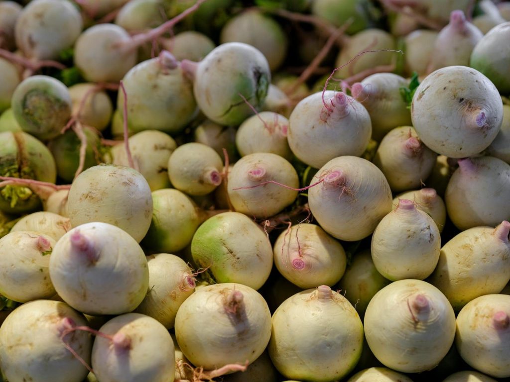 A close-up view of fresh white radishes stacked together, showcasing their natural texture and color.