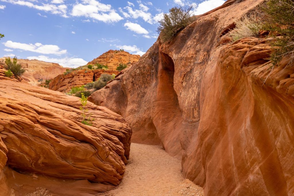 Explore the captivating red rock formations of Kanab, Utah, on this serene canyon footpath.