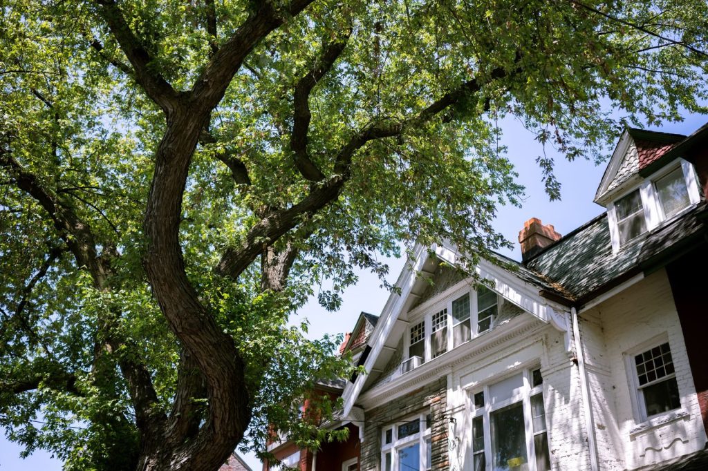 A suburban house with a tree casting shadows on its classic facade, showcasing a peaceful neighborhood.
