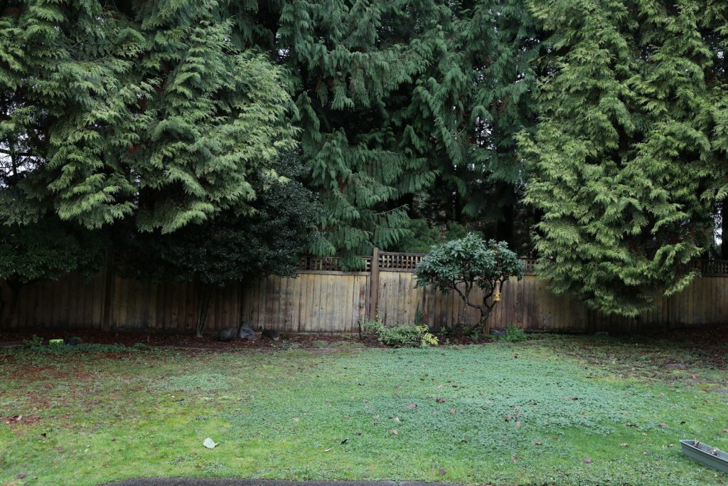 Green lawn with a wooden fence and trees.