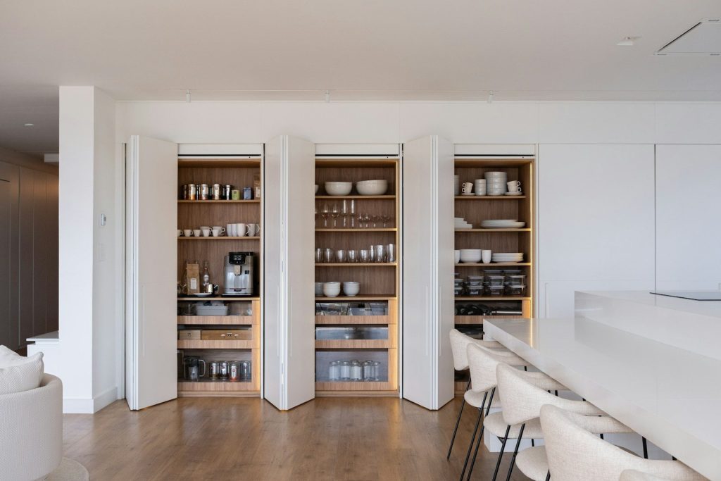 Modern kitchen pantry with organized shelves and appliances.