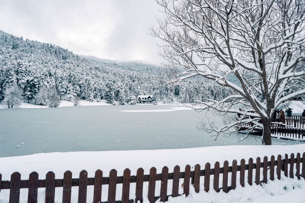A peaceful winter landscape featuring a snow-covered lake, frosty trees, and a charming distant cabin.