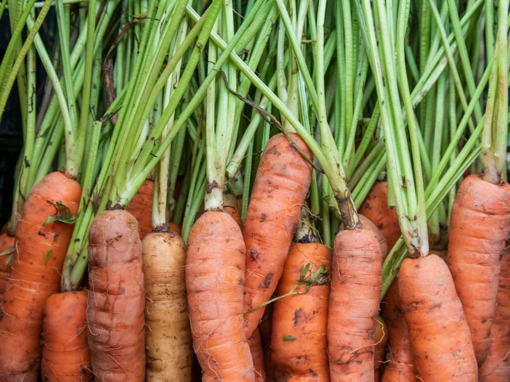 Close-up image of fresh organic carrots with leafy greens showcasing abundance.