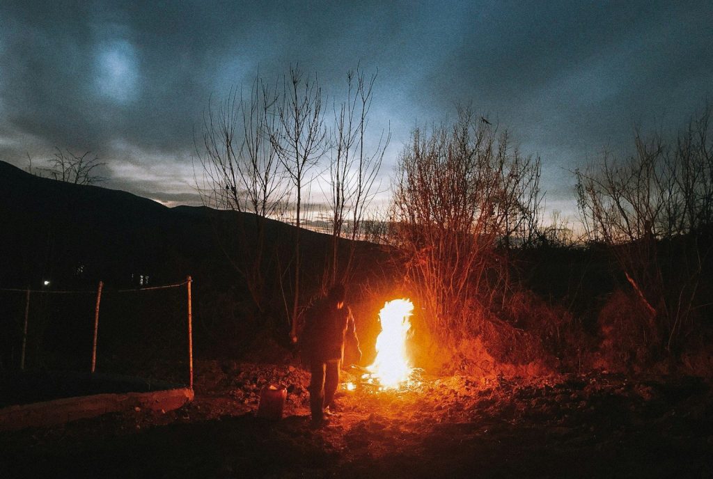 bonfire near bare trees during night time