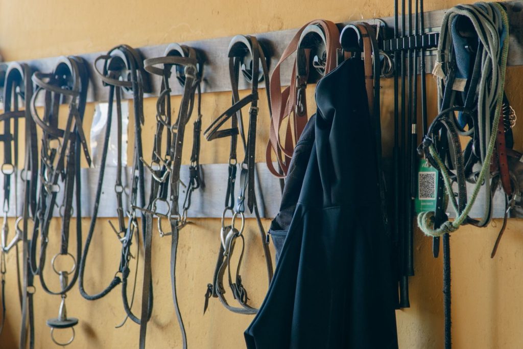 Various horse tack and equipment hanging neatly in a stable.