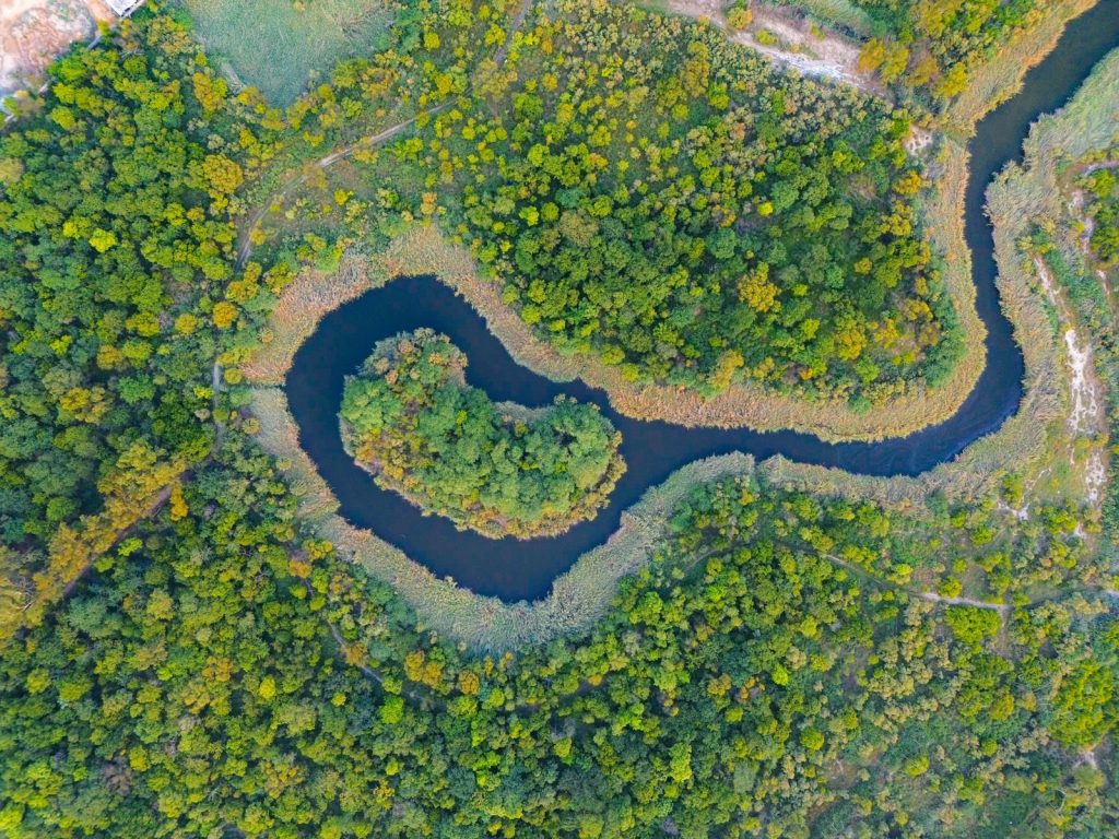 Scenic aerial view of a serpentine river winding through dense forest in India, showcasing vibrant summer greenery.