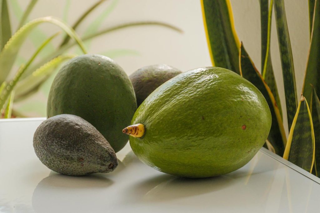 Close-up of ripe avocados on a white surface, perfect for healthy eating visuals.
