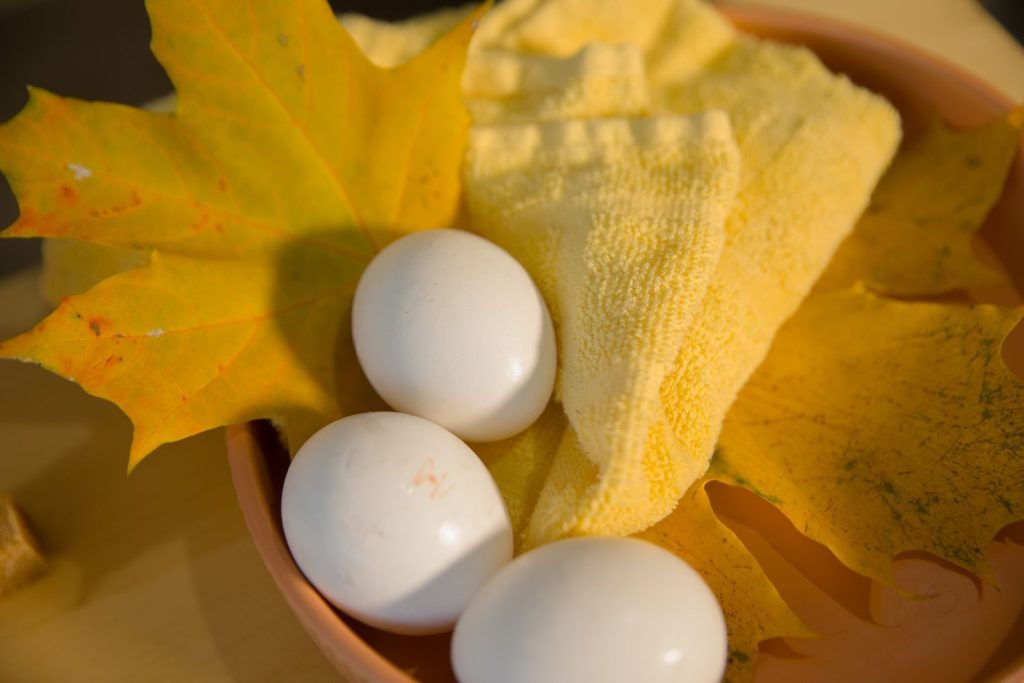 Artistic display of eggs on a yellow towel with autumn maple leaves.