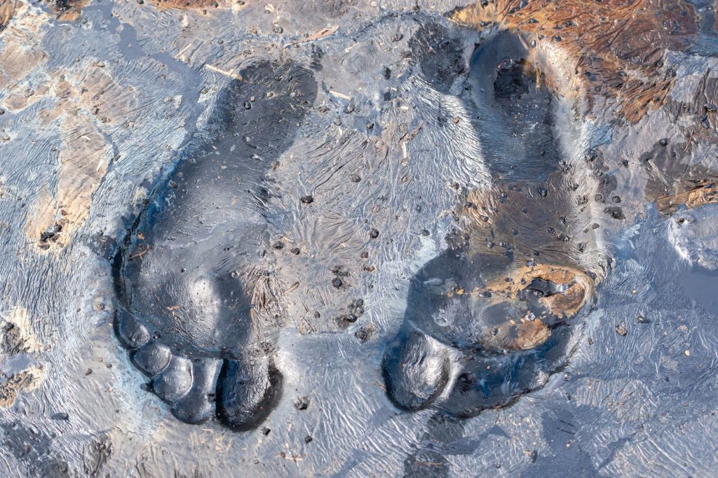 Unique footprints in the asphalt at Pitch Lake, Trinidad and Tobago.