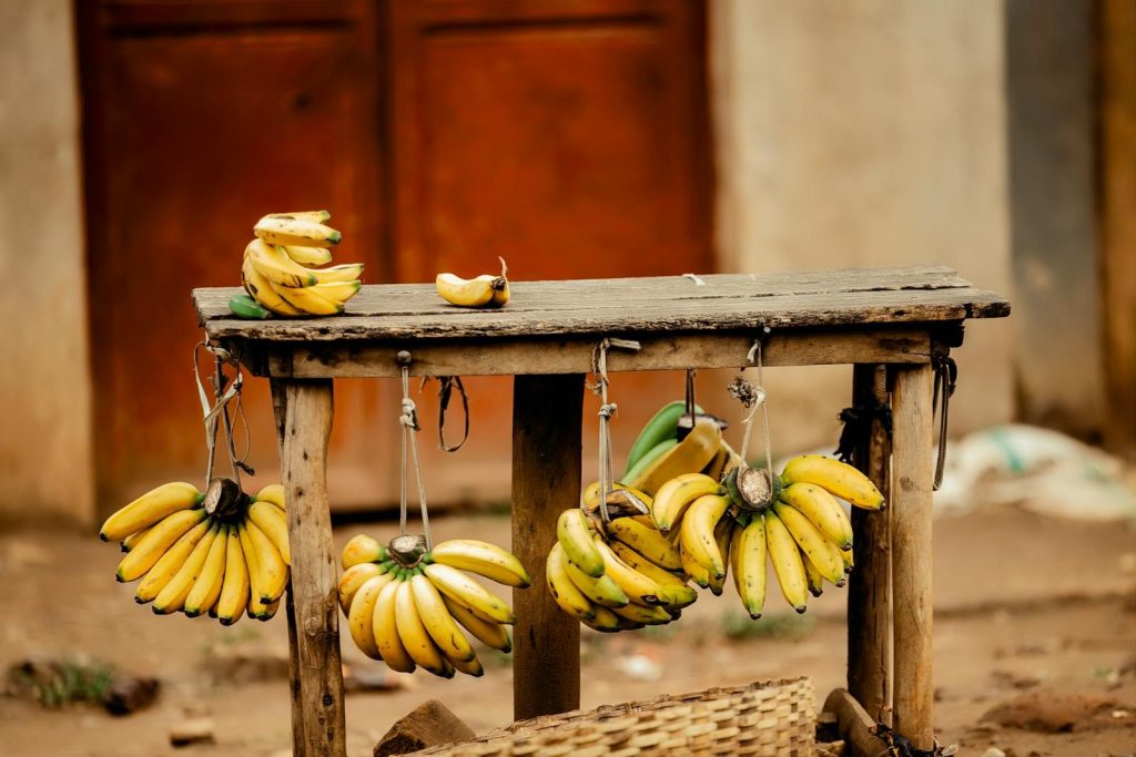 A rustic wooden market stall displaying ripe bananas in an outdoor setting.