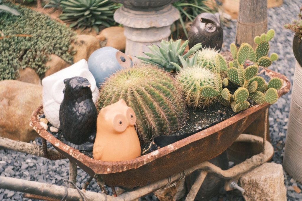 A vintage wheelbarrow holds diverse cacti and ceramic animal figurines, creating a charming rustic garden display.