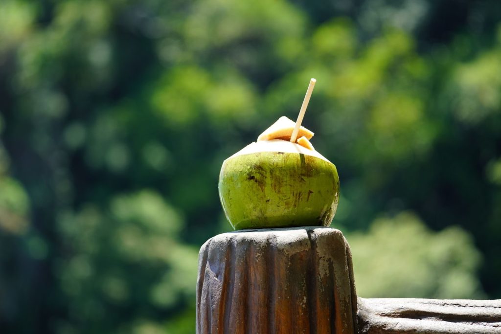 Close-up of a fresh green coconut with a straw, set against a lush tropical background.