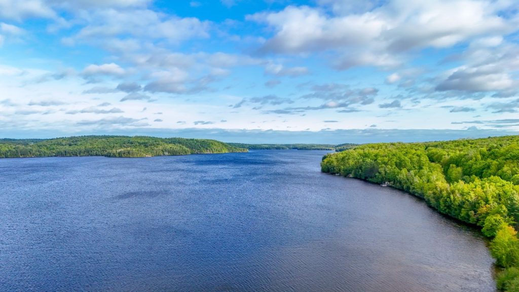 Breathtaking aerial view of a serene lake surrounded by lush green forest under a vibrant blue sky.