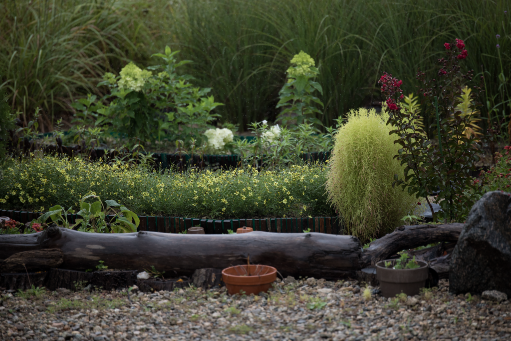 Serene garden landscape with various plants, flowers, and decorative logs.