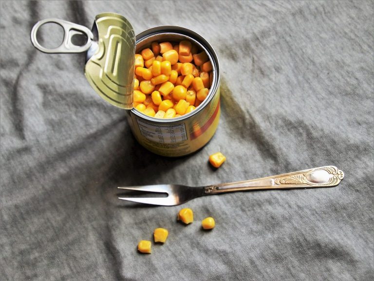 food, tin, fork, metal, closeup, mess, eat, canned, gray, the structure of the, corn, pattern, model, color, one, food you
