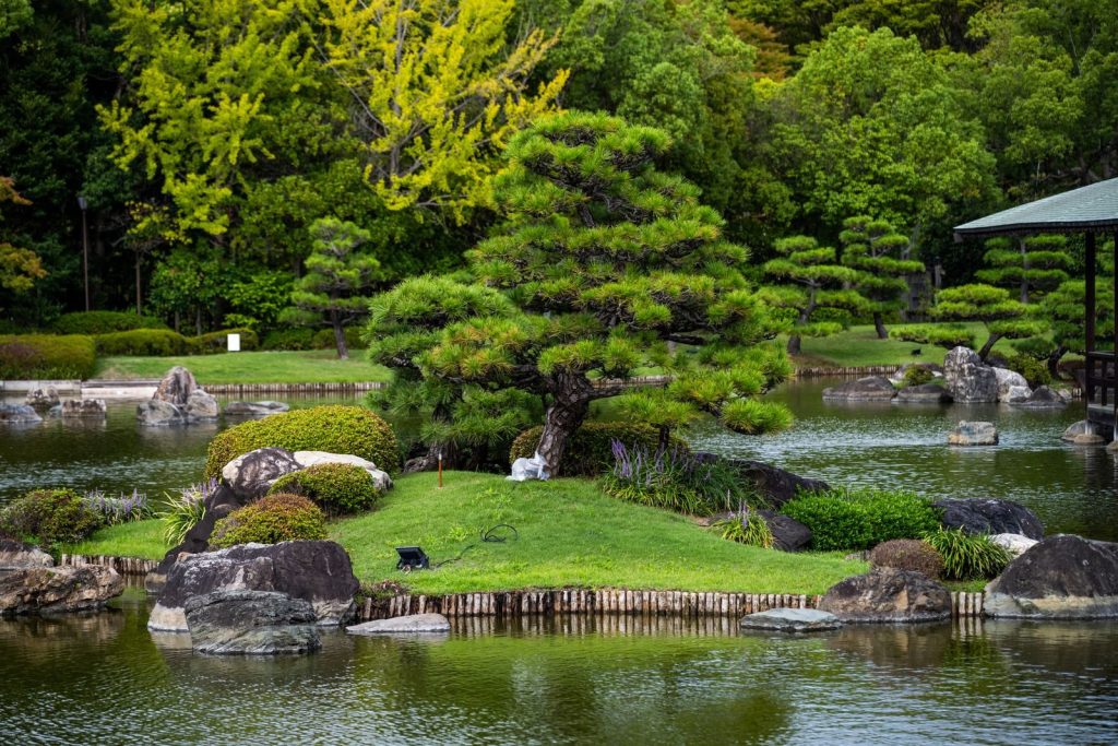 A tranquil Japanese garden featuring a pond, pine tree, and lush greenery.