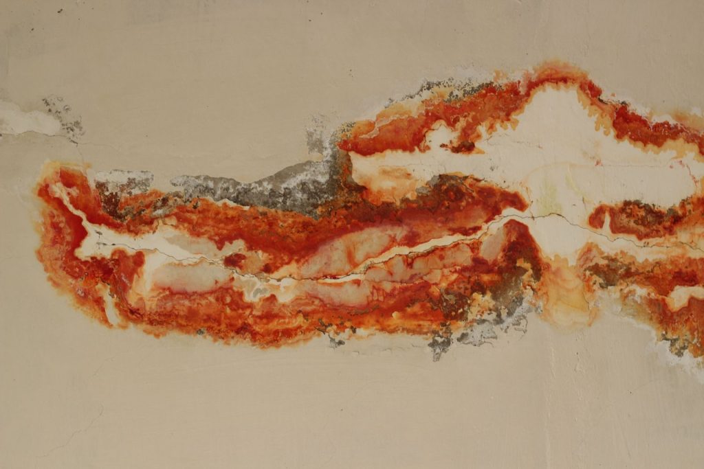 Abstract pattern of rust on a wall creating vibrant orange and red textures.