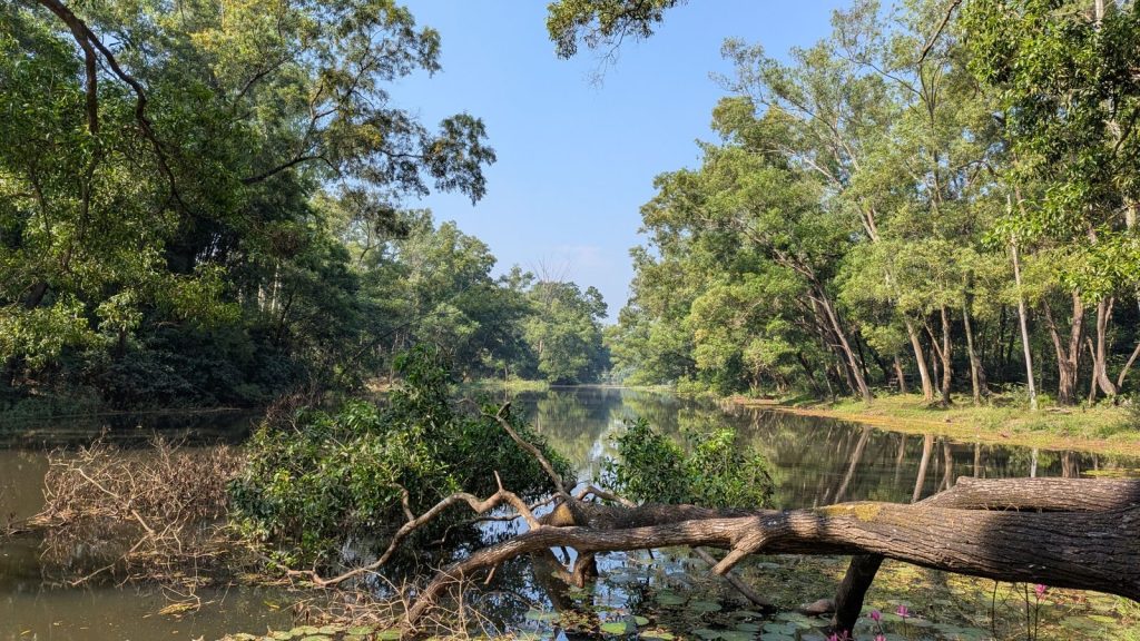 Tranquil riverside view surrounded by lush greenery in Gazipur, Bangladesh, under clear skies.