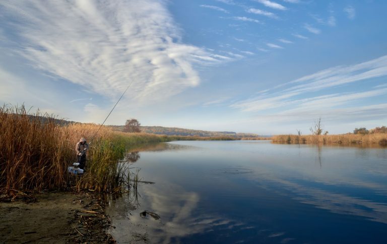 Tranquil autumn morning with a lone fisherman by the lake, surrounded by golden reeds.