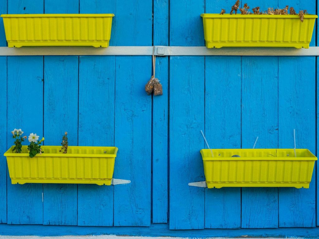 Bright yellow planters contrast with a vivid blue wooden wall, creating a vibrant visual impact.
