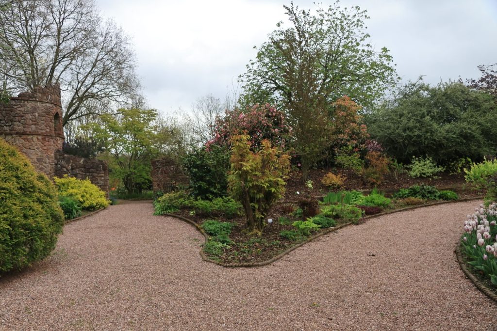Peaceful garden pathway with vibrant foliage at Bridgemere, England, showcasing spring greenery.