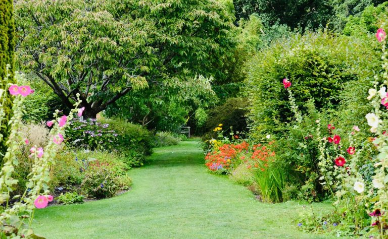 A vibrant garden pathway surrounded by blooming flowers and lush greenery, perfect for summer strolls.