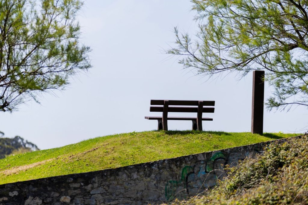 A tranquil park bench on a grassy hill surrounded by trees, capturing the essence of a peaceful summer day.