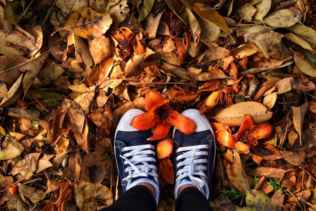 Blue sneakers stand amidst fallen autumn leaves and bright orange flowers.