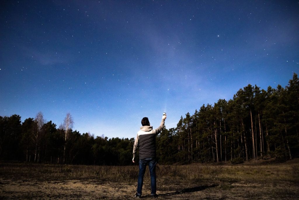 A person stands in a forest clearing, gazing at the starry night sky, holding a light.