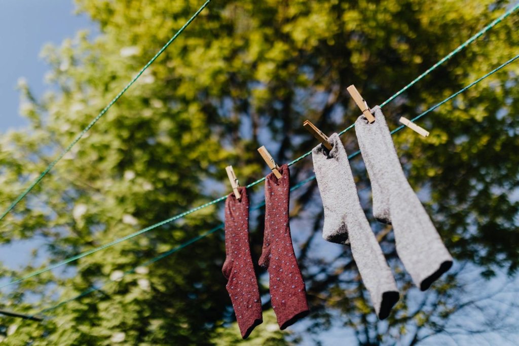 From below of multicolored socks hanging and drying on rope in row with clothespins under green branches of tree in sunny summer day
