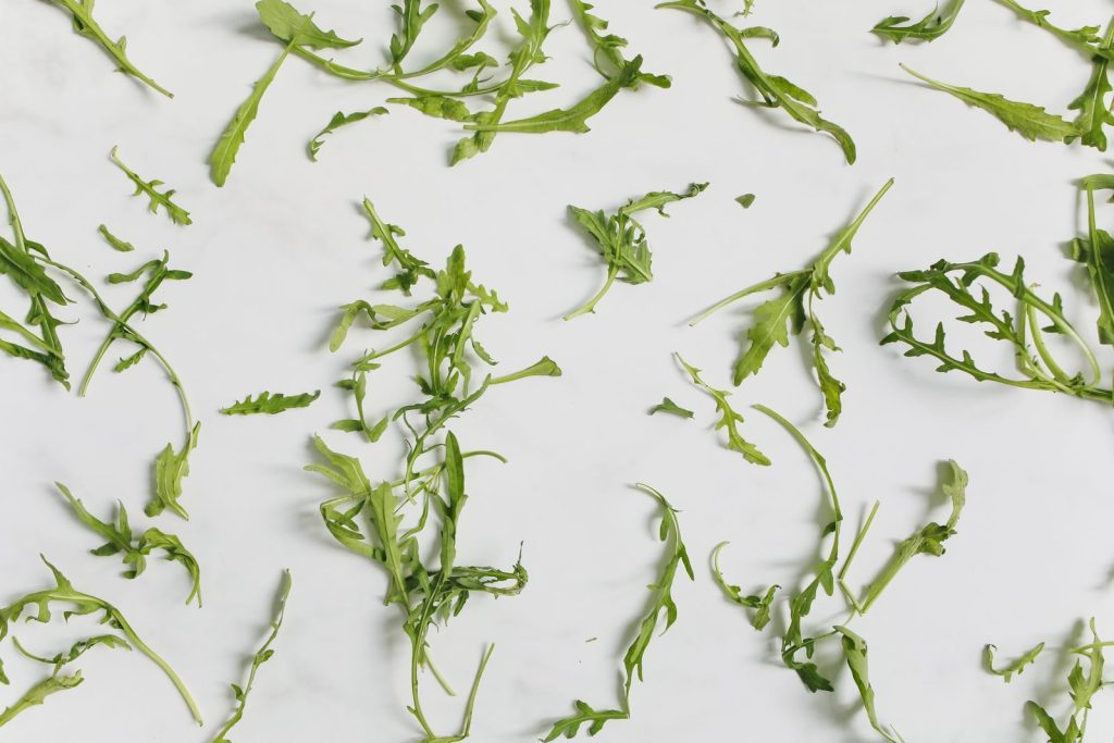 Scattered fresh arugula leaves on a clean white surface, showcasing simplicity.