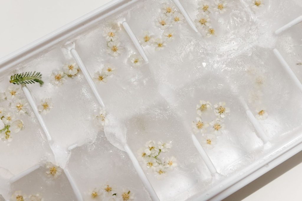 A top-down view of an ice cube tray with frozen white flowers, creating a refreshing still life.
