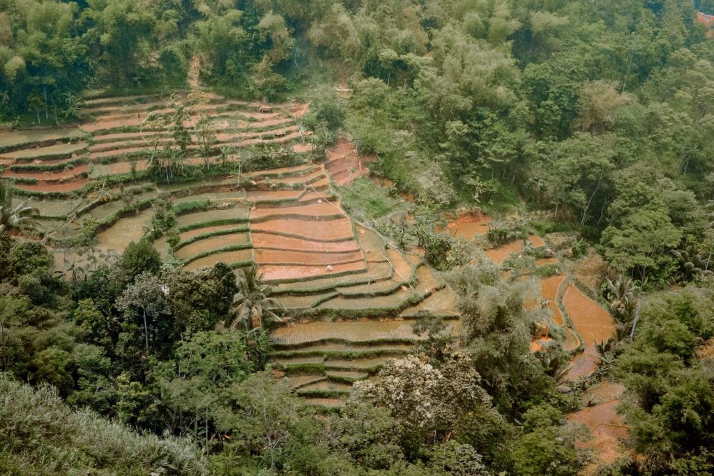 A stunning aerial shot of lush rice terraces and forests in Bandung, Indonesia.