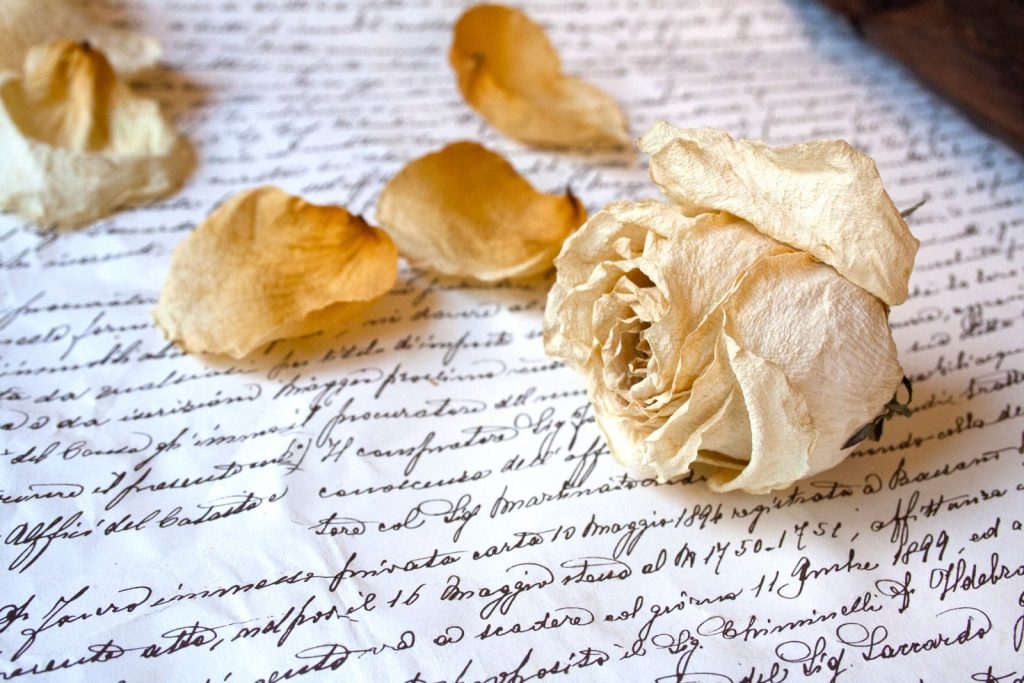 A close-up of a dried rose and petals on a vintage handwritten cursive letter.