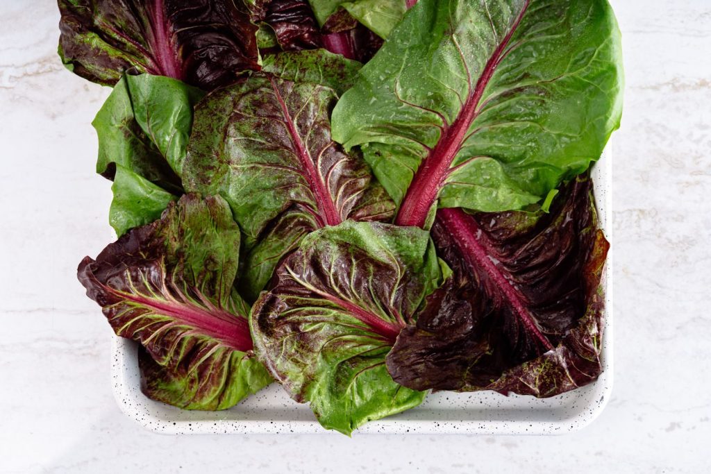 Fresh vibrant chard leaves arranged on a white speckled tray over a marble surface seen from above.