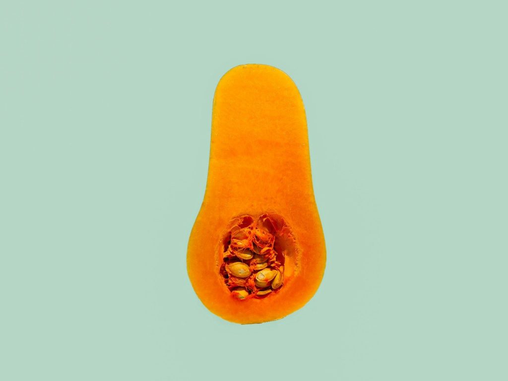 slice of squash