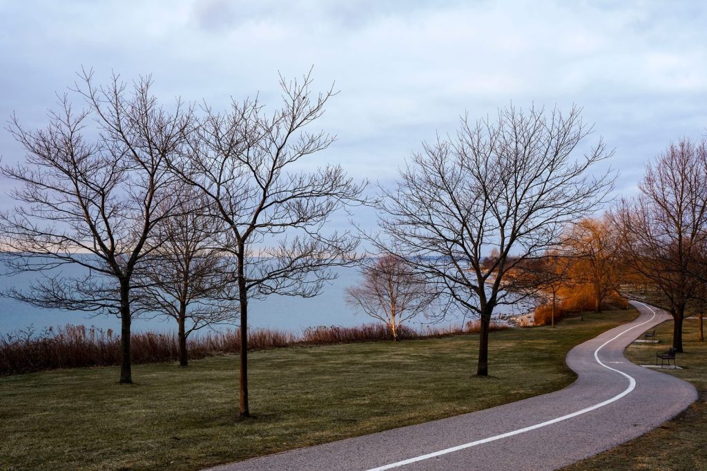 Peaceful lakeside path lined with bare trees and cloudy sky, evoking a serene winter atmosphere.